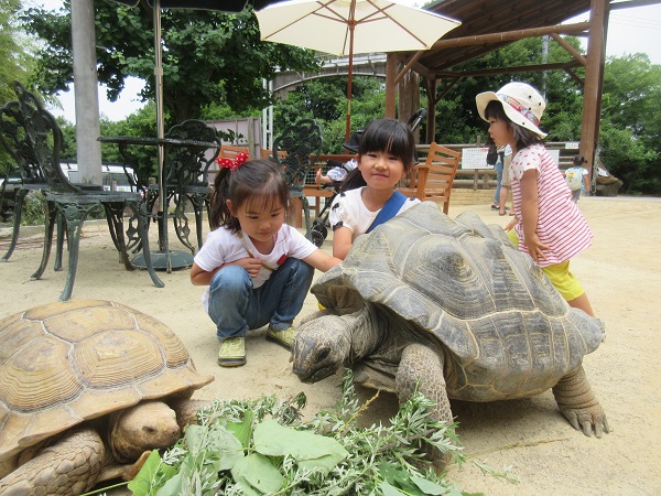 渋川動物公園