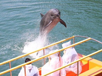 下田海中水族館