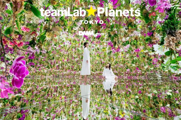 優待停止中】teamLab Planets TOKYO | 【公式】セゾンカード・UCカード優待のあるお店