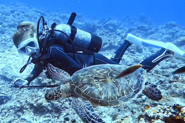 SAMURAI SCUBA 石垣島